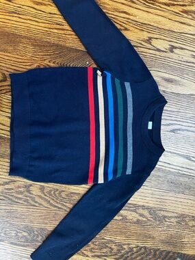 GAP Navy Crewneck Sweater with Multi-Stripe Accents